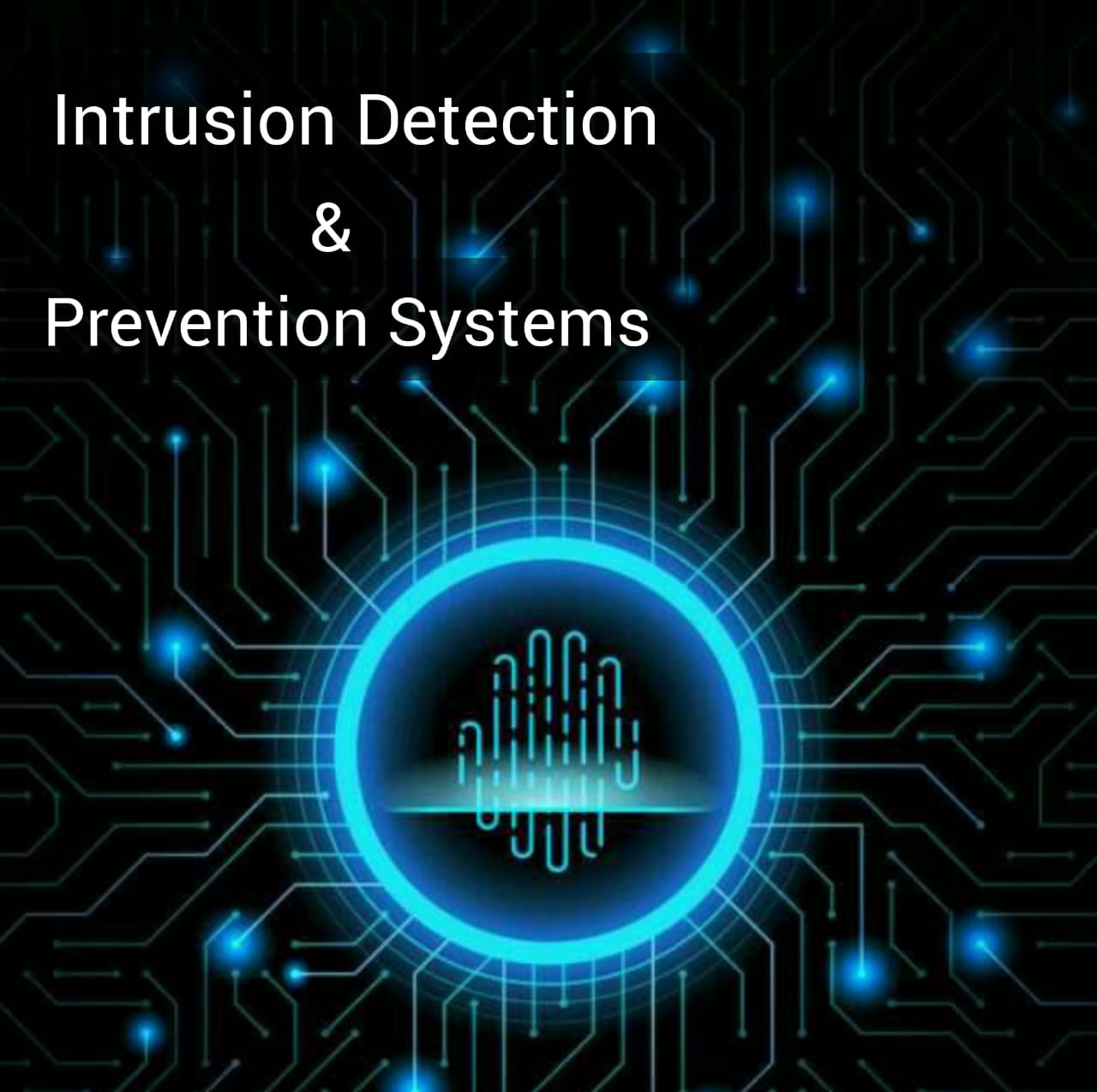intrusiondetectionandpreventionsystems